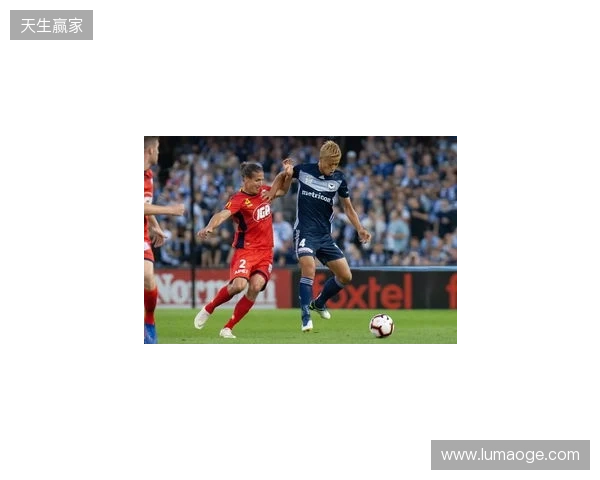 4名澳超球员入选澳大利亚3月大名单，墨尔本城占两席